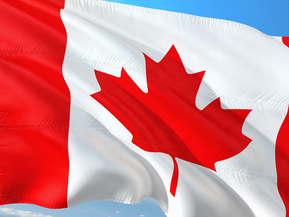Worldwide Shipping on OBD2 Scanners - Including Canada
